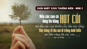 cn 27 tn C