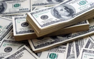 Kiều bào gởi bao nhiêu tiền về Việt Nam trong 50 năm qua?