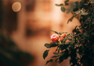 Khi nhận ra mình nghèo và dốt chính là khởi đầu của mọi sự vĩ đại