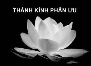 Cụ Bà Phan Thị Cam đã giã biệt trần thế