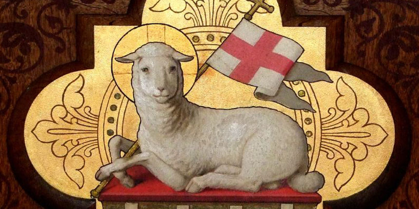 Chúa nhật 2 TN A. Chiên Thiên Chúa
