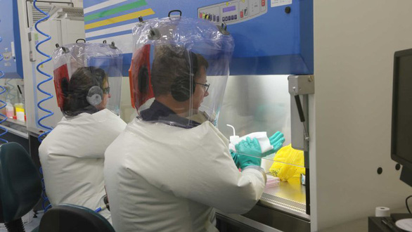 Chuyên gia thế giới: 'Khả năng vắcxin tiêu diệt hết virus corona là rất mong manh'