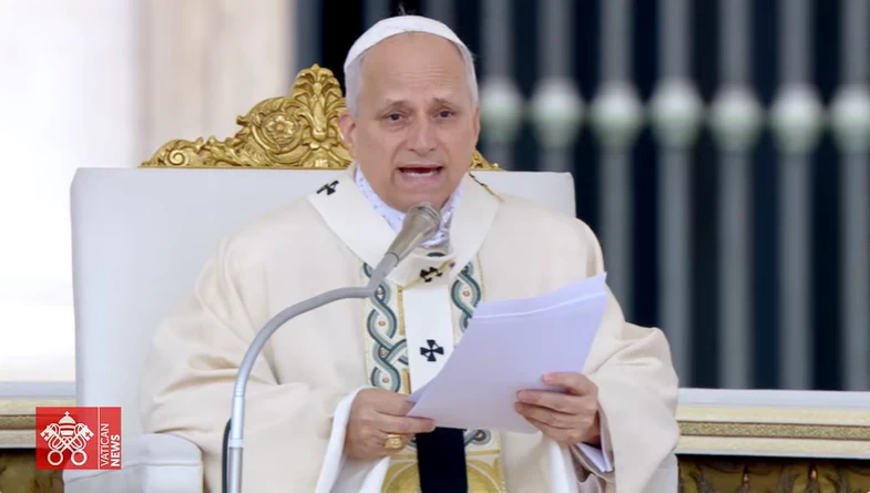 pope leo xiv 4