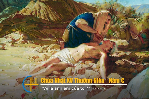 Chua nhat 15 tn nam C