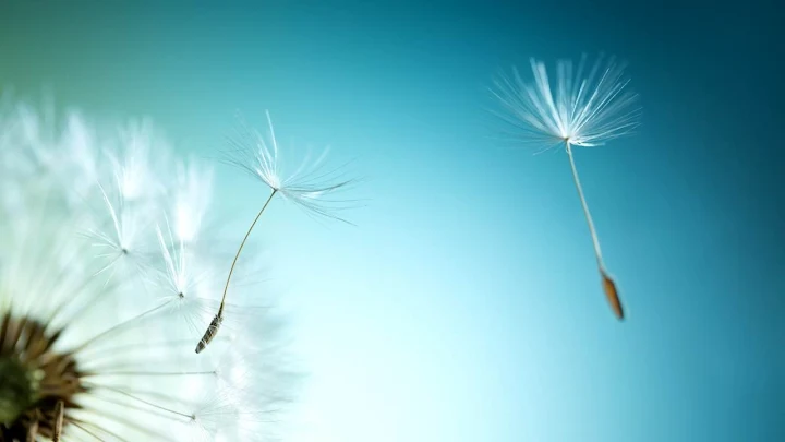 Bốn điều nên tránh trong cuộc sống