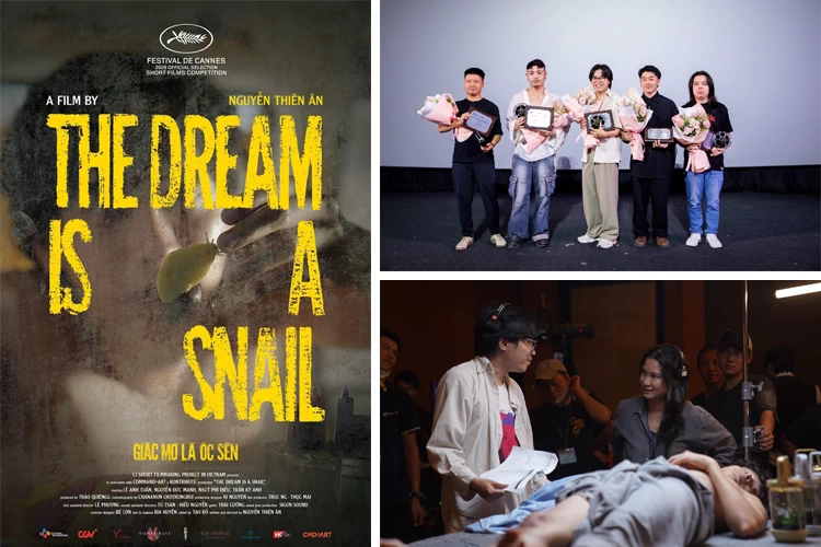 the dream is a snail