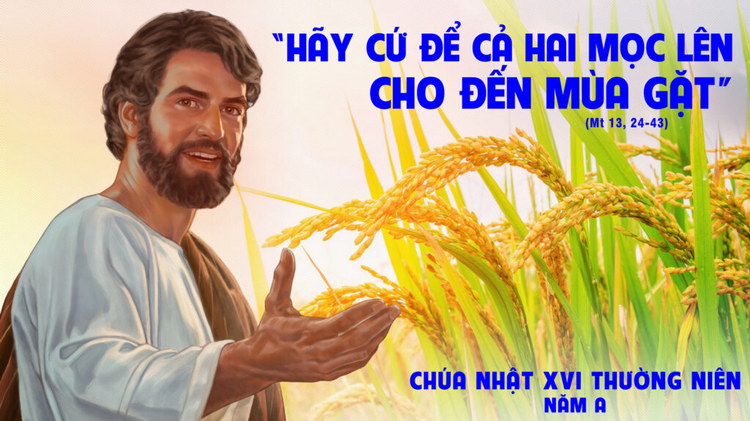 Chua Nhat XVI Thuong Nien A