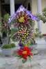 Anna_Ng_T_Muu-001