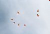 042_Nghithuc_DatDa_DauTien_15082012