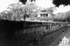 Hue1960-29LIFE