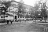 Hue1960-19LIFE
