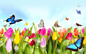 Xuân Khai - Thơ Trần Hữu Thuần PX53