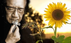 Sống phút hiện tại và làm cho nó đầy tình thương [1]