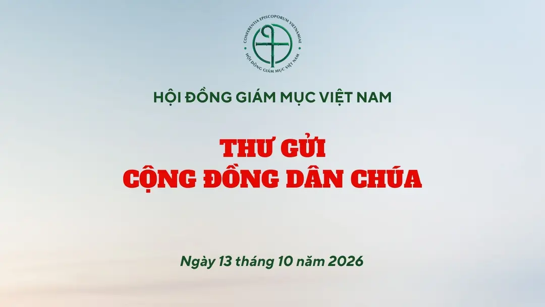 thu hdgmvn